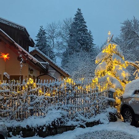 Gemuetliche Waldrandlage In Badenweiler Sehringen Ferienwohnung Экстерьер фото