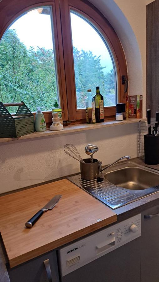 Gemuetliche Waldrandlage In Badenweiler Sehringen Ferienwohnung Экстерьер фото