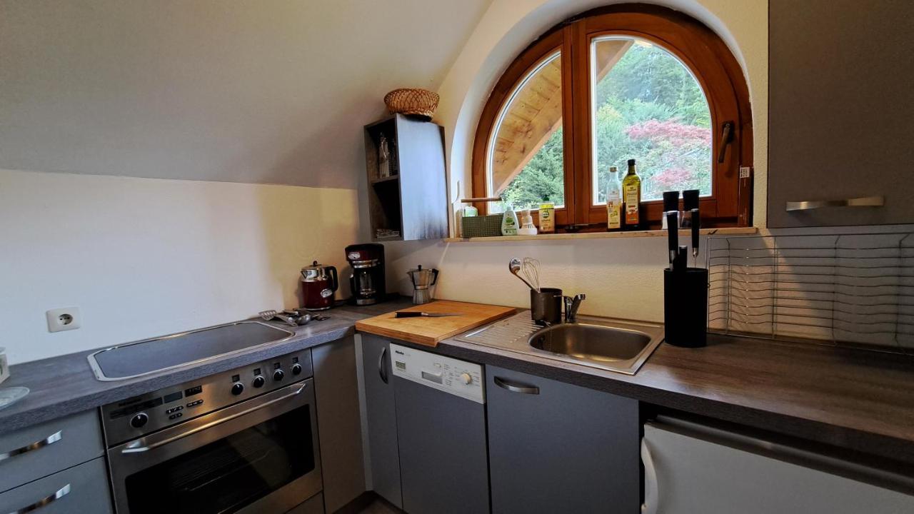 Gemuetliche Waldrandlage In Badenweiler Sehringen Ferienwohnung Экстерьер фото