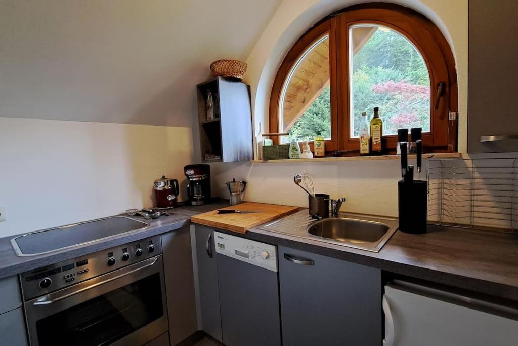 Gemuetliche Waldrandlage In Badenweiler Sehringen Ferienwohnung Экстерьер фото