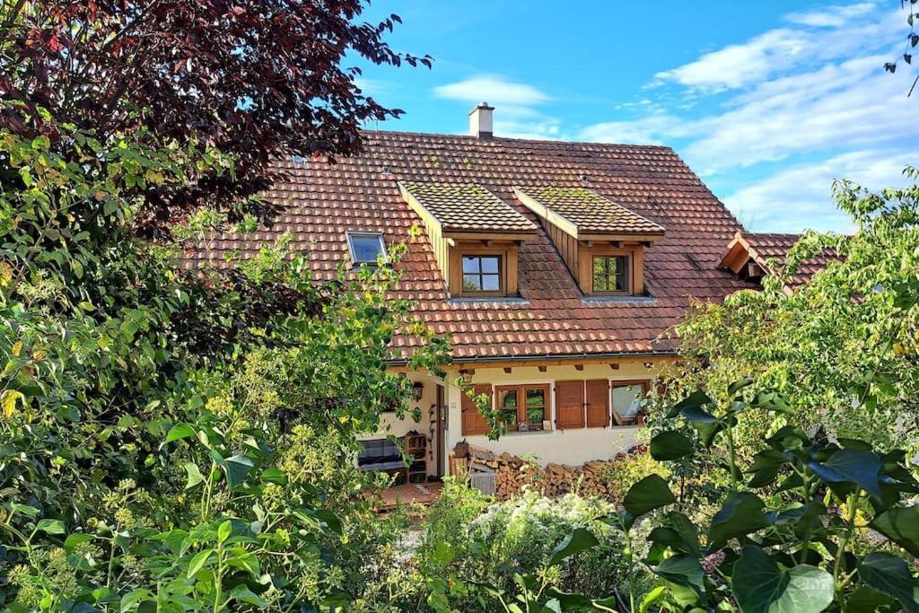 Gemuetliche Waldrandlage In Badenweiler Sehringen Ferienwohnung Экстерьер фото