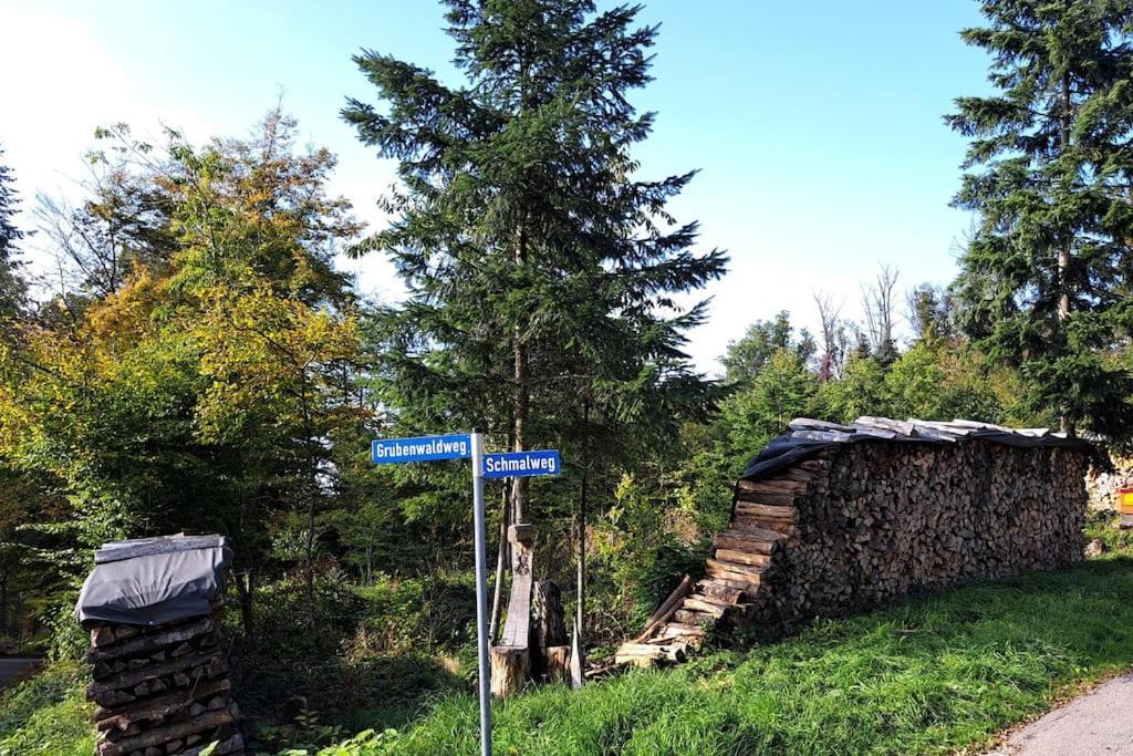 Gemuetliche Waldrandlage In Badenweiler Sehringen Ferienwohnung Экстерьер фото
