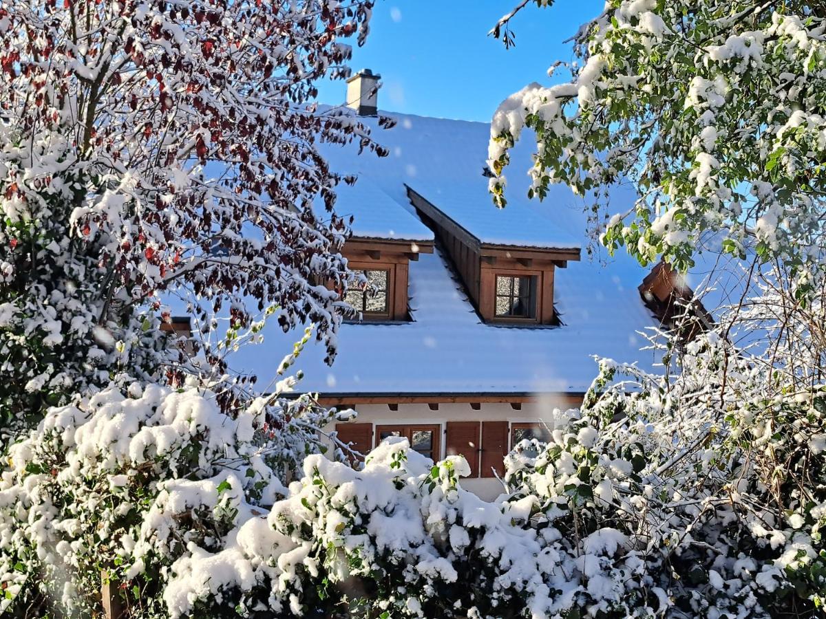 Gemuetliche Waldrandlage In Badenweiler Sehringen Ferienwohnung Экстерьер фото