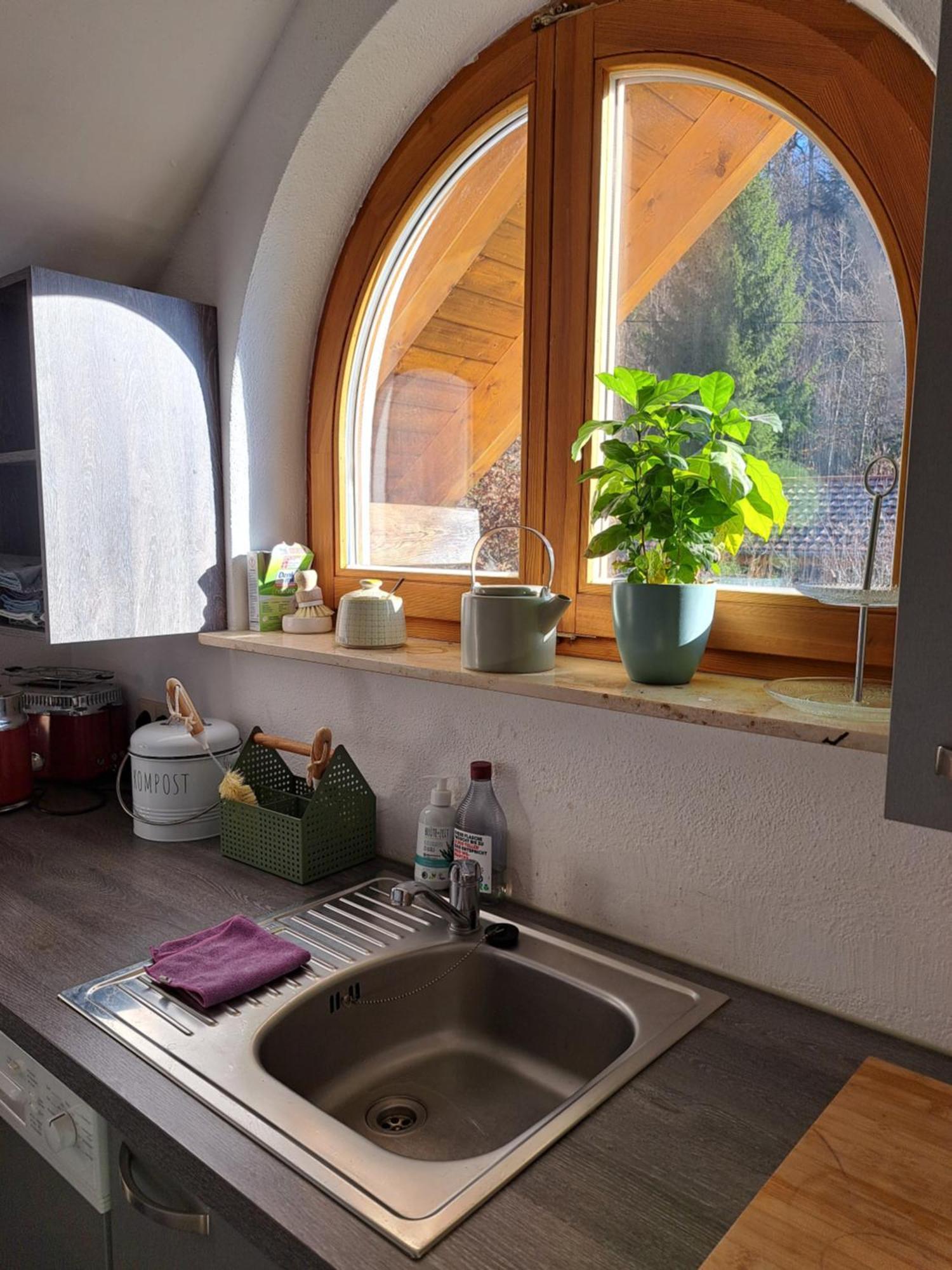 Gemuetliche Waldrandlage In Badenweiler Sehringen Ferienwohnung Экстерьер фото